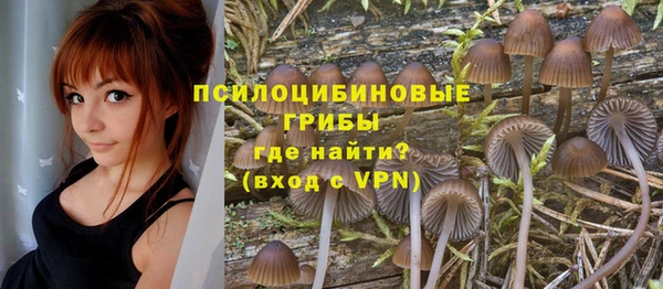 скорость Алексин