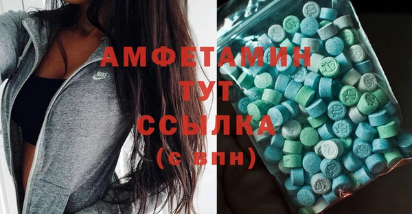 сатива Покачи