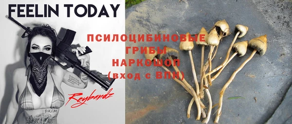 стафф Алексеевка