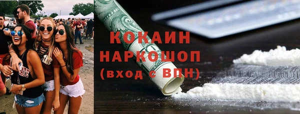 сатива Покачи