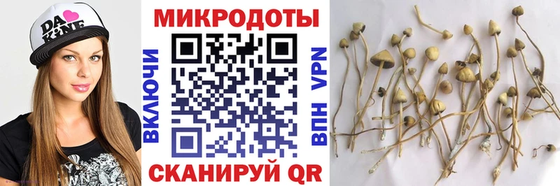 Галлюциногенные грибы ЛСД  mega ТОР  Пролетарск  купить  сайты 